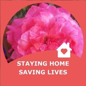 Meet your Posher, Crisanta